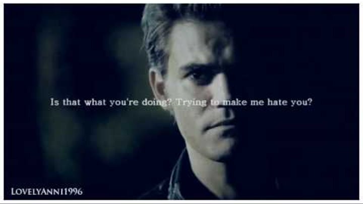 Stefan and Elena / The Vision Stefan and Elena / The Vision