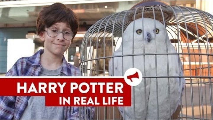 Harry Potter In Real Life - Movies In Real Life (Episode 8)