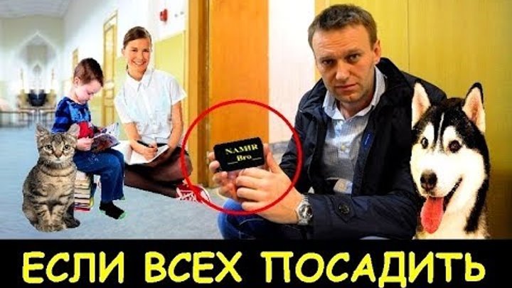 навальный новости ютуб хабиб танцует посадили кокорин мамаев тюрьма сизо реакция митинг