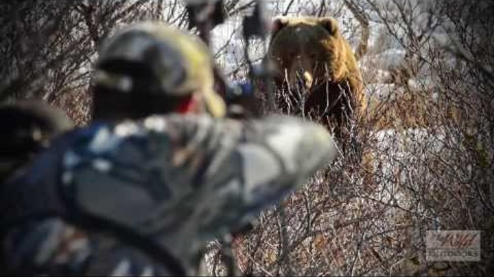 #3 Pending Pope and Young Brown Bear-Juan Garcia The Wild Outdoors смотреть онлайн #3 Pending Pope and Young Brown Bear-Juan Garcia The Wild Outdoors
