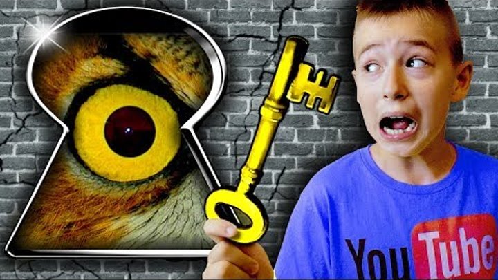Побег из Комнаты Escape Room ROBLOX Веселый побег мульт героя как Майнкрафт Игра Квест Видео Роблокс Побег из Комнаты Escape Room ROBLOX Веселый побег мульт героя как Майнкрафт Игра Квест Видео Роблокс