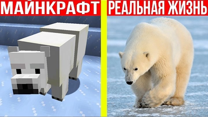 МАЙНКРАФТ ПРОТИВ РЕАЛЬНОЙ ЖИЗНИ 13 ! MINECRAFT VS REAL LIFE ! МАЙНКРАФТ МУЛЬТИК МАЙНКРАФТ ПРОТИВ РЕАЛЬНОЙ ЖИЗНИ 13 ! MINECRAFT VS REAL LIFE ! МАЙНКРАФТ МУЛЬТИК
