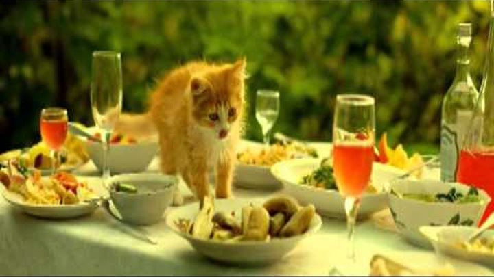 Иерей Сан Исповедь самурая Иерей Сан Исповедь самурая