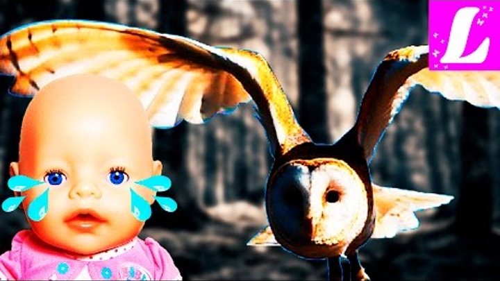 Куклы BABY BORN Видео для Детей Малыш Беби Бон попал в заколдованный лес Распаковка и Обзор в Гостях