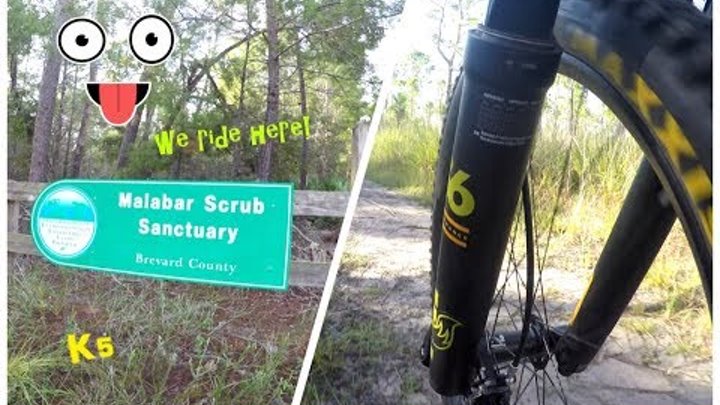 Lazy Summer Mountain Bike ride at the Malabar Scrub "quirky edit" Big CRASH @ 1:45!