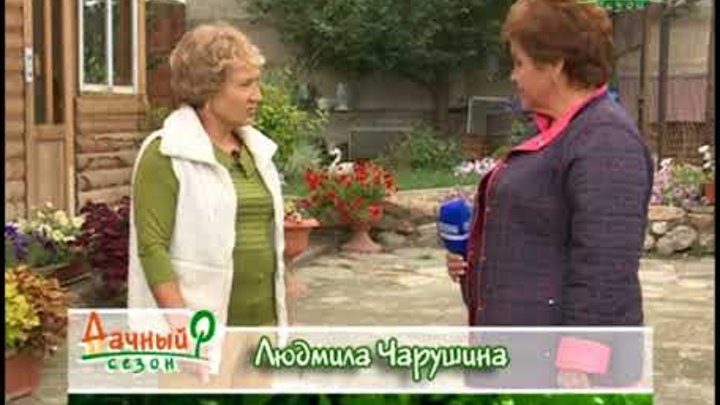 Дачный сезон 30 сентября 2017 смотреть онлайн Дачный сезон 30 сентября 2017