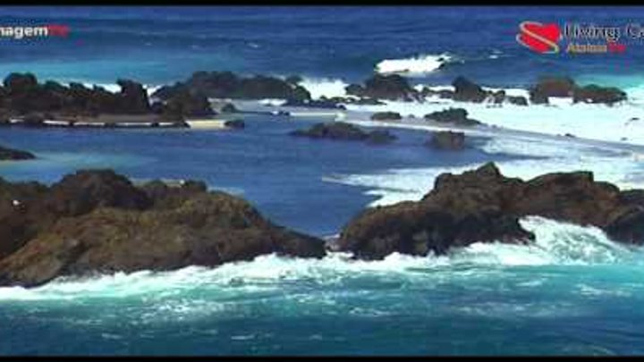 Natureza Viva - Porto Moniz - Ilha da Madeira Natureza Viva - Porto Moniz - Ilha da Madeira