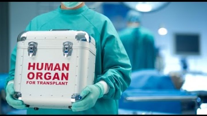 Пересадка органов (трансплантация)