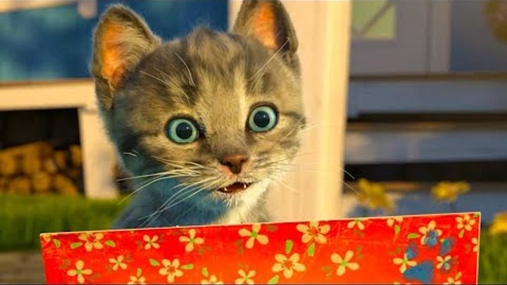 ПРИКЛЮЧЕНИЕ МАЛЕНЬКОГО КОТЕНКА мультик смешное видео для детей мультфильм про котиков #ПУРУМЧАТА КИД