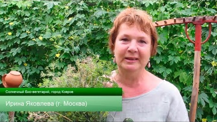 Солнечный био-вегетарий | Ирина Яковлева (г.Москва) Солнечный био-вегетарий | Ирина Яковлева (г.Москва)