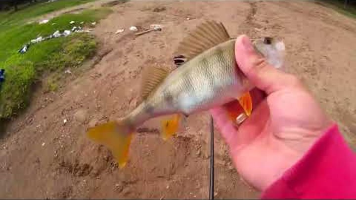 Там реально есть рыба???!!!Озеро на базе отдыха!!!Рыбалка на окуня,ловля на отводной!!!15.08.2017