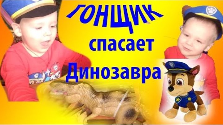 ЩЕНЯЧИЙ ПАТРУЛЬ Сезон 4 Динозавра Джордж спасает Гонщик PAW PATROL спешит на помощь Видео для детей