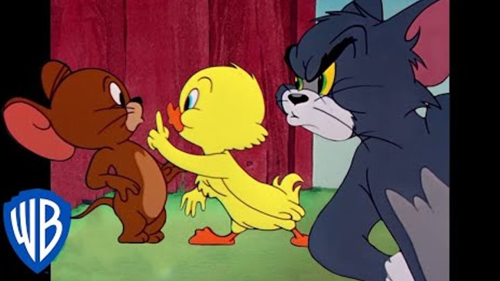 Tom y Jerry en Español Latino America | Lo Mejor del Pequeño Patito | WB Kids Tom y Jerry en Español Latino America | Lo Mejor del Pequeño Patito | WB Kids
