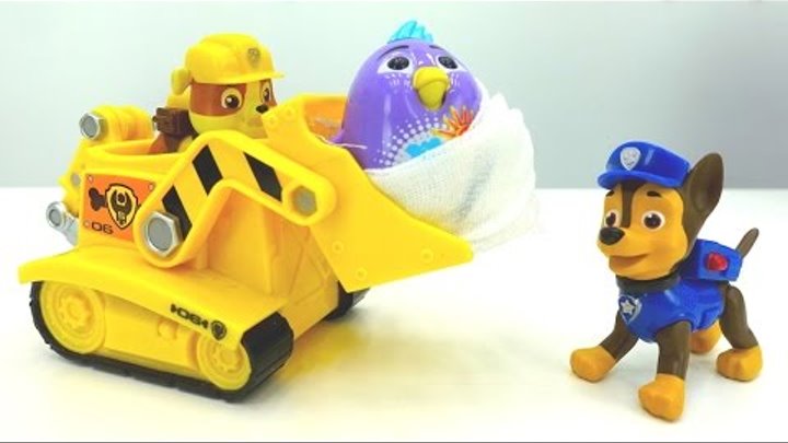 Видео с игрушками из мультика Щенячий Патруль! Герои мультфильмов спасают птенца Диги Бердс!
