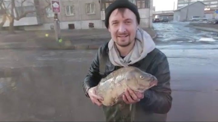 СЕНСАЦИЯ! ШОК! Барнаульский КАРП-ЛЮДОЕД!!! или как приручить рыбу.