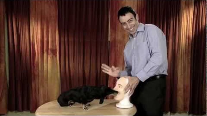 School of French Kissing for Dogs School of French Kissing for Dogs