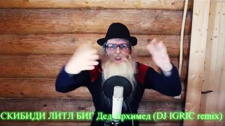 СКИБИДИ ЛИТЛ БИГ Дед Архимед DJ IGRIC remix