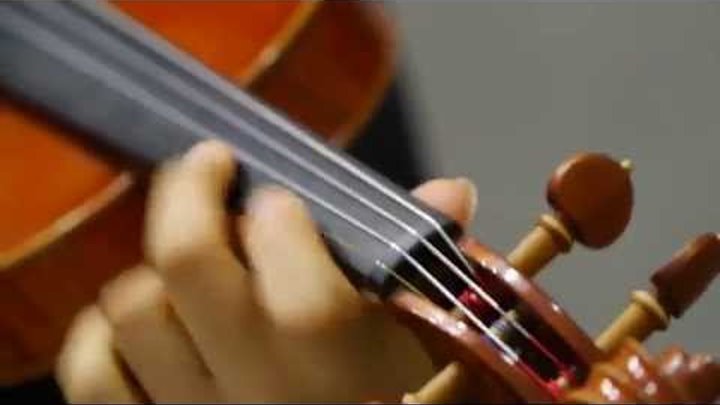 Sword Art Online I OP “crossing field” Full ソードアート・オンライン (Violin Cover) Sword Art Online I OP “crossing field” Full ソードアート・オンライン (Violin Cover)