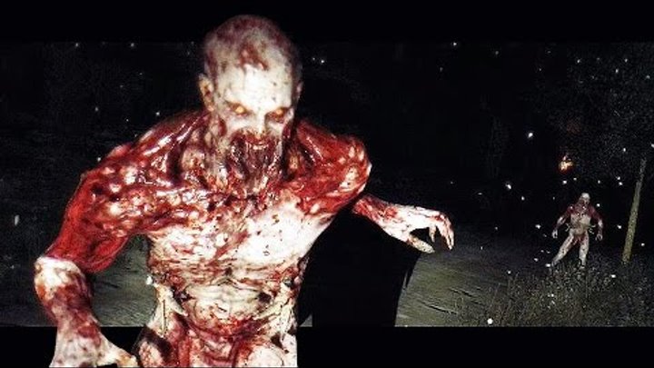 DYING LIGHT The Following - Enhanced Edition (2016) DYING LIGHT The Following - Enhanced Edition (2016)