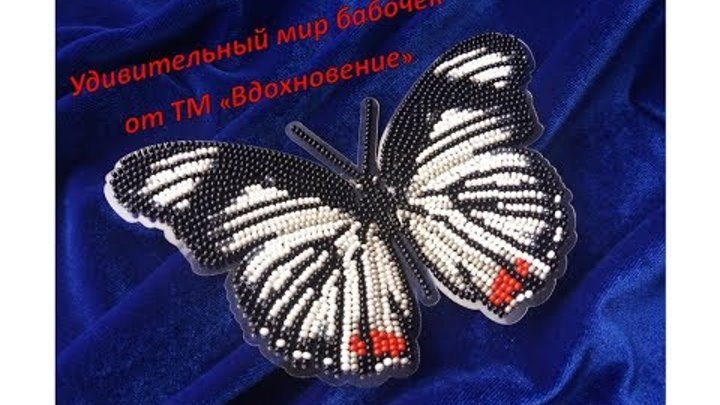 Удивительный мир бабочек от ТМ "Вдохновение"