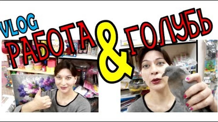 Работа/Фасую бисер/Обзор картин/Голубь/Монопод из Фикс Прайс и др. VLOG# IVI.obo.mne_ИВИ.обо.мне Работа/Фасую бисер/Обзор картин/Голубь/Монопод из Фикс Прайс и др. VLOG# IVI.obo.mne_ИВИ.обо.мне