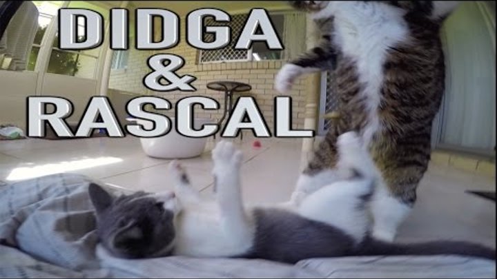 Didga and Rascal Meet Face To Face