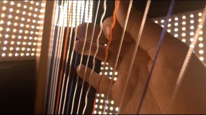 Stranger Things Theme on a Harp/Cello