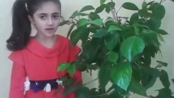 Tolışə şeeron Sevinc Fuadi kinə 2 Tolışə şeeron Sevinc Fuadi kinə 2