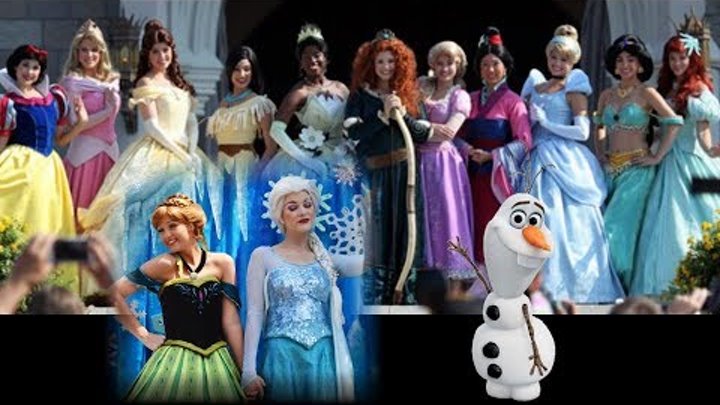 Disney Princess Party Fairytale Castle Elsa Anna Rapunzel Elena Ariel Cinderella Merida