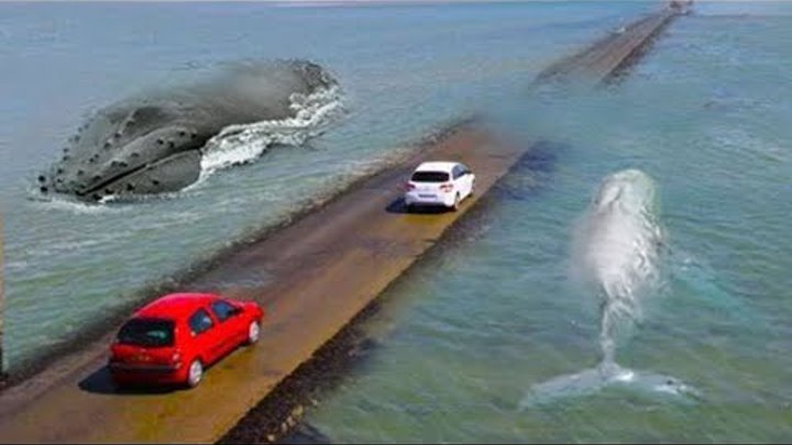 Las 7 Carreteras Más Peligrosas del Mundo Las 7 Carreteras Más Peligrosas del Mundo