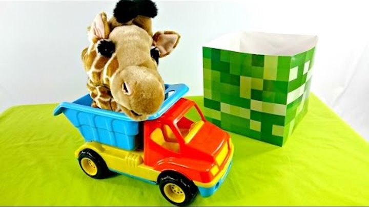Игрушки и видео для детей. Животные. Волшебная Коробка - передача для детей видео с Машей