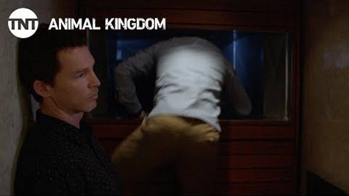 Animal Kingdom: Forgive Us Our Trespasses - Season 2, Ep. 5 [CLIP] | TNT
