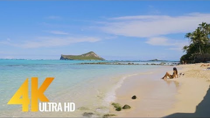 4K Hawaii - Virtual Trip to Hawaii - Short Video Preview