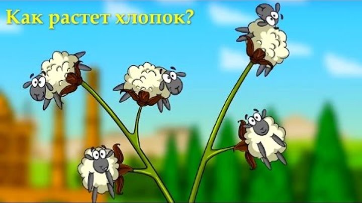 Профессор Почемушкин - Познавательный мультфильм для детей – Как растет хлопок?