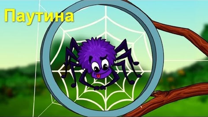 Профессор Почемушкин - Познавательный мультфильм для детей – Откуда паук берет свою паутину?