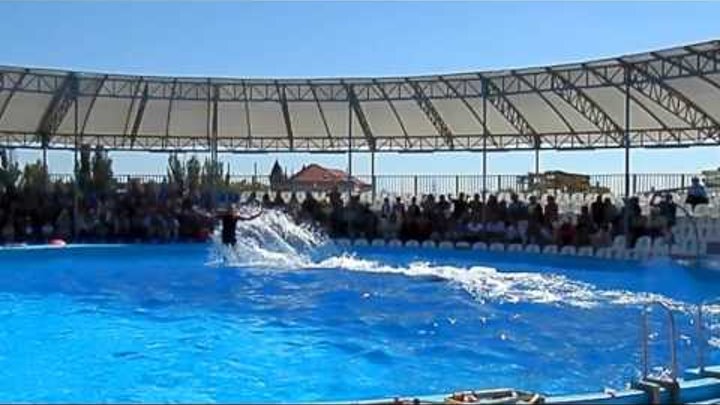 #Бердянск HD Дельфинарий немо (Круг почёта) 10 видео #Бердянск HD Дельфинарий немо (Круг почёта) 10 видео