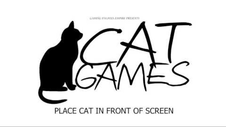 игра для кошек или котов