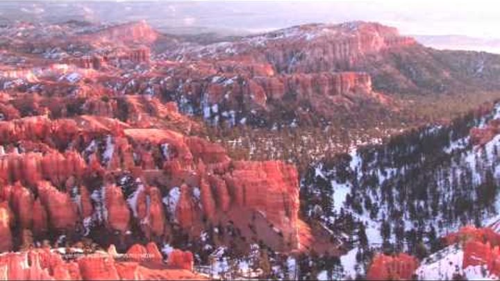 Bryce Canyon: A View from the Rim
