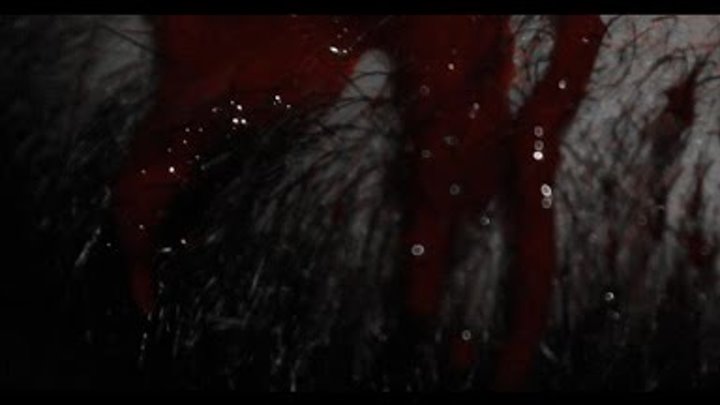 Cannibal Grandpa - Gray Man (Official Video) смотреть онлайн Cannibal Grandpa - Gray Man (Official Video)