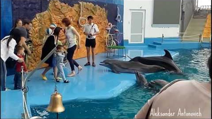 Odessa Dolphinarium «Nemo». Part 1 - Before the Show Odessa Dolphinarium «Nemo». Part 1 - Before the Show
