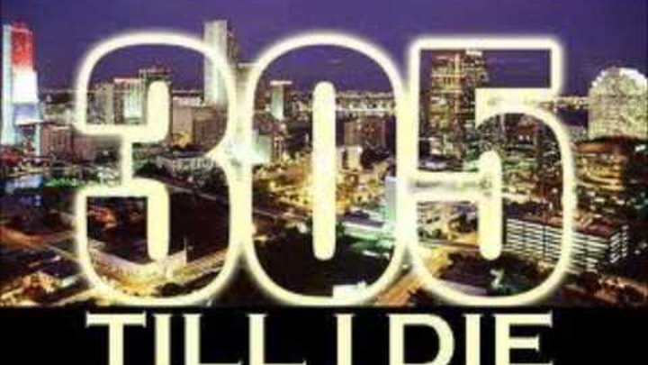 305 Anthem - Pitbull 305 Anthem - Pitbull
