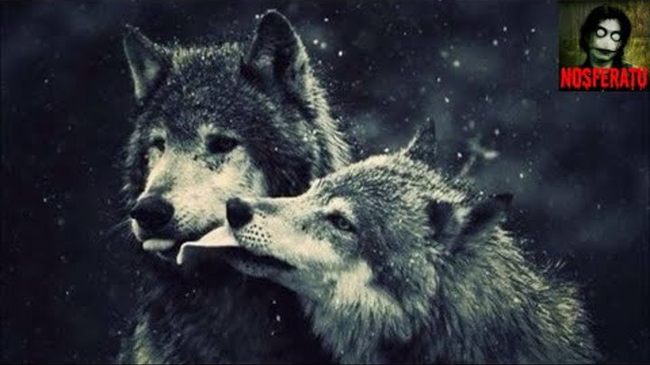 Легенда о волке и волчице (стихотворение)