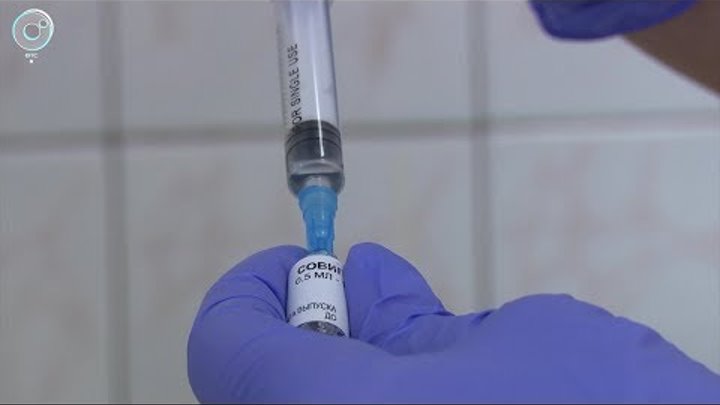 Свиной грипп возвращается в Новосибирск. Как уберечься от коварного вируса?