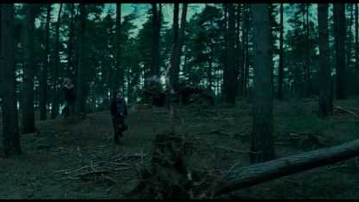 Гарри Поттер и Дары Смерти. Русский трейлер. Гарри Поттер и Дары Смерти. Русский трейлер.