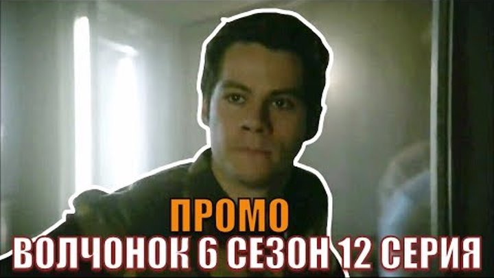 ВОЛЧОНОК 6 СЕЗОН СУПЕР - ТИЗЕР ВОЛЧОНОК 6 СЕЗОН СУПЕР - ТИЗЕР