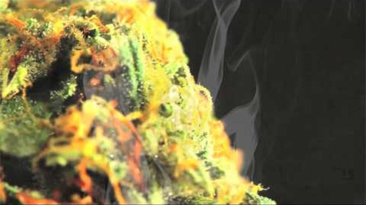 Happy 420 - Official 2012 Weed Anthem - Higher Happy 420 - Official 2012 Weed Anthem - Higher
