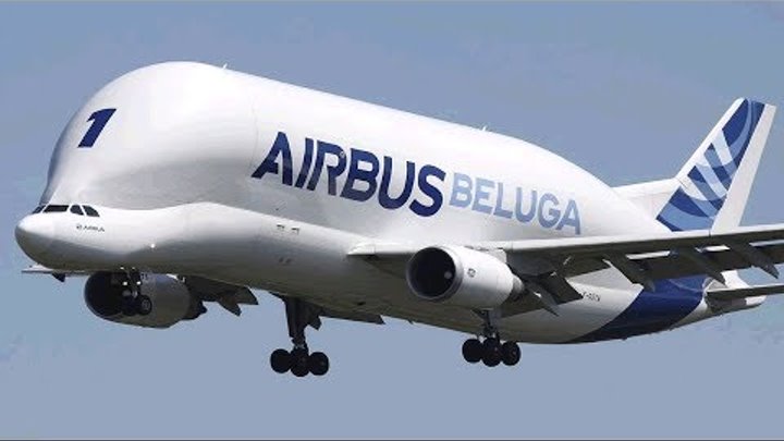 Los 5 Aviones De Pasajeros Más Grandes Del Mundo Los 5 Aviones De Pasajeros Más Grandes Del Mundo