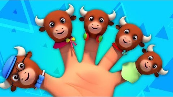 быки палец семья | Рифмы для детей | Детская музыка | Bulls Finger Family Rhyme