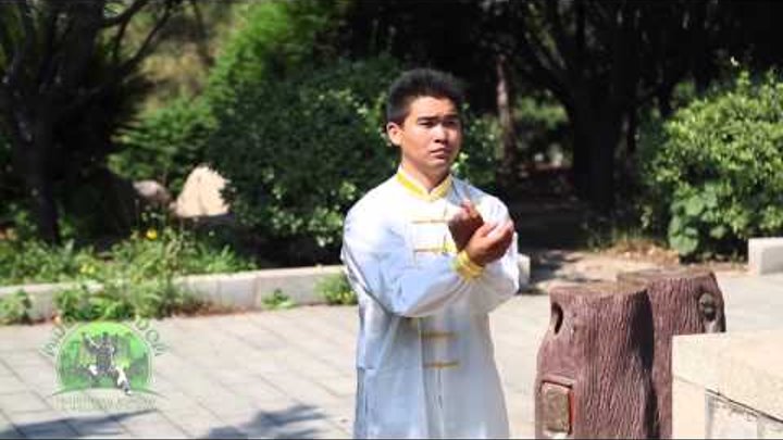 China Tai Chi Wing Chun & Jeet Kune Do Master Wang
