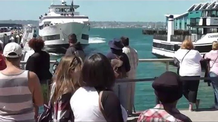 Whale Watching Boat Crashing Into San Diego Dock